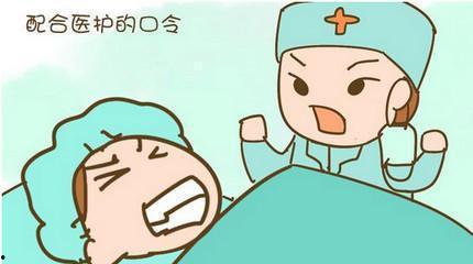 觅圈的视频没人爆料吗,独家爆料，真相尽在此处  第3张